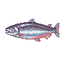 Saumon roi - Animal Crossing : Wild World (DS) [ACWW]